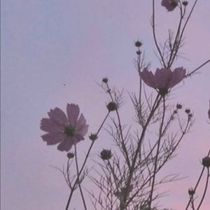 Meet your Posher, Maura